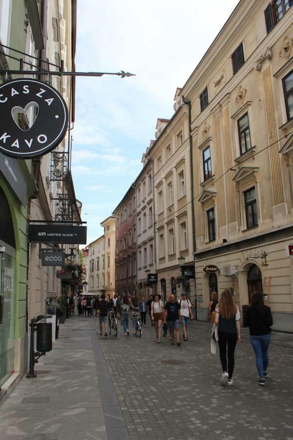 Lovely Old City-Center Apartment Ljubljana Eksteriør bilde